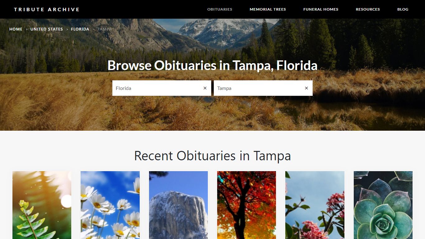 Tampa, Florida Obituaries | Tribute Archive